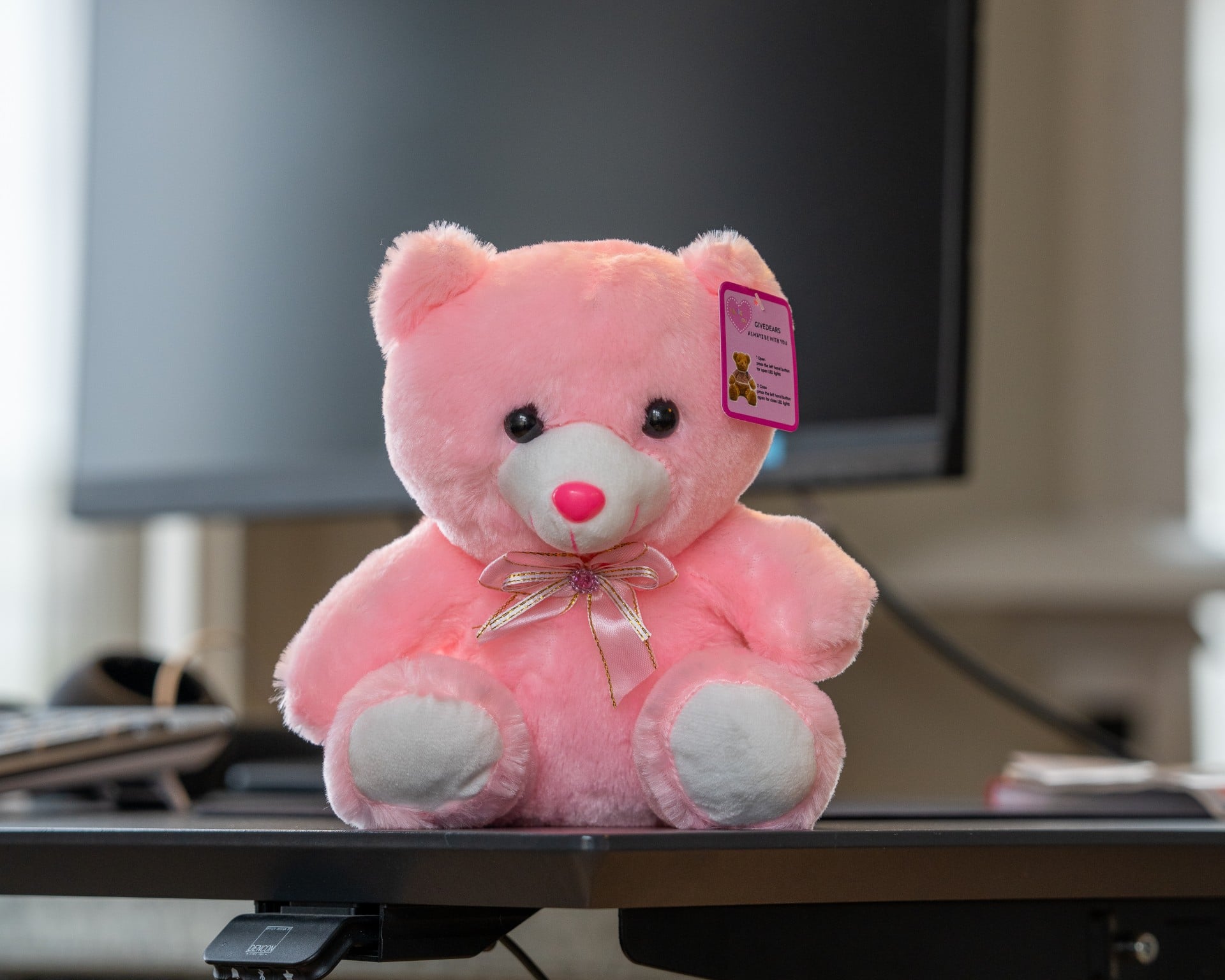 Bamse fra Temu