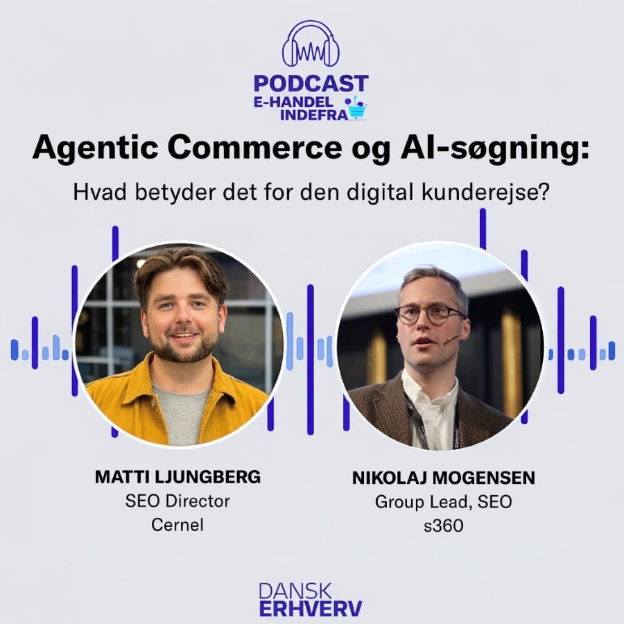 billede fra podcasten